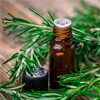 Rosemary essential oil - Motion Energy Composition 