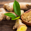 Ginger extract - Motion Energy Composition 